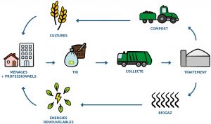 Le cycle des déchets alimentaires